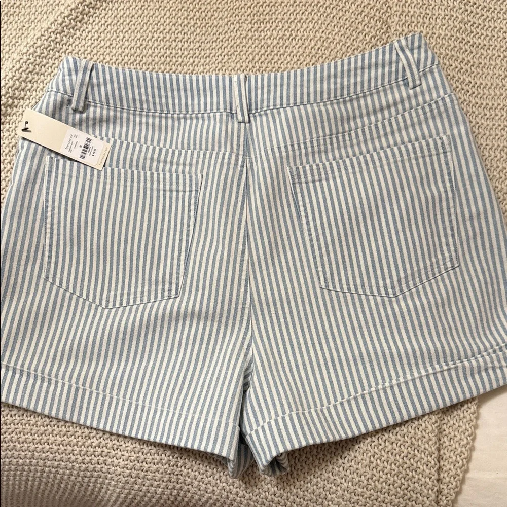 Francesca’s  Light Blue Striped Jean Shorts - Picture 2 of 3